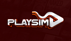 PlaySim